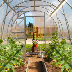 Rastlinjak Dvuška Rastlinjak Dvuška