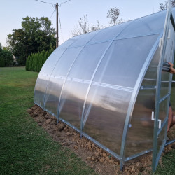 Rastlinjak Stevia Rastlinjak Stevia