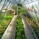 Rastlinjak Strelka3 - galerija 6