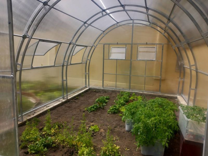 Notranjost z gredicami