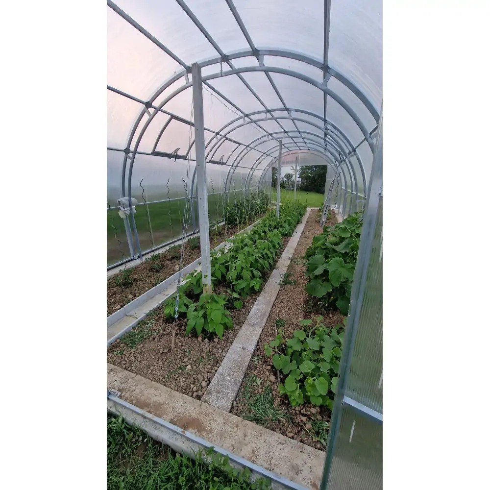 Notranjost rastlinjaka Agronom z gredicami
