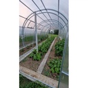 Notranjost rastlinjaka Agronom z gredicami