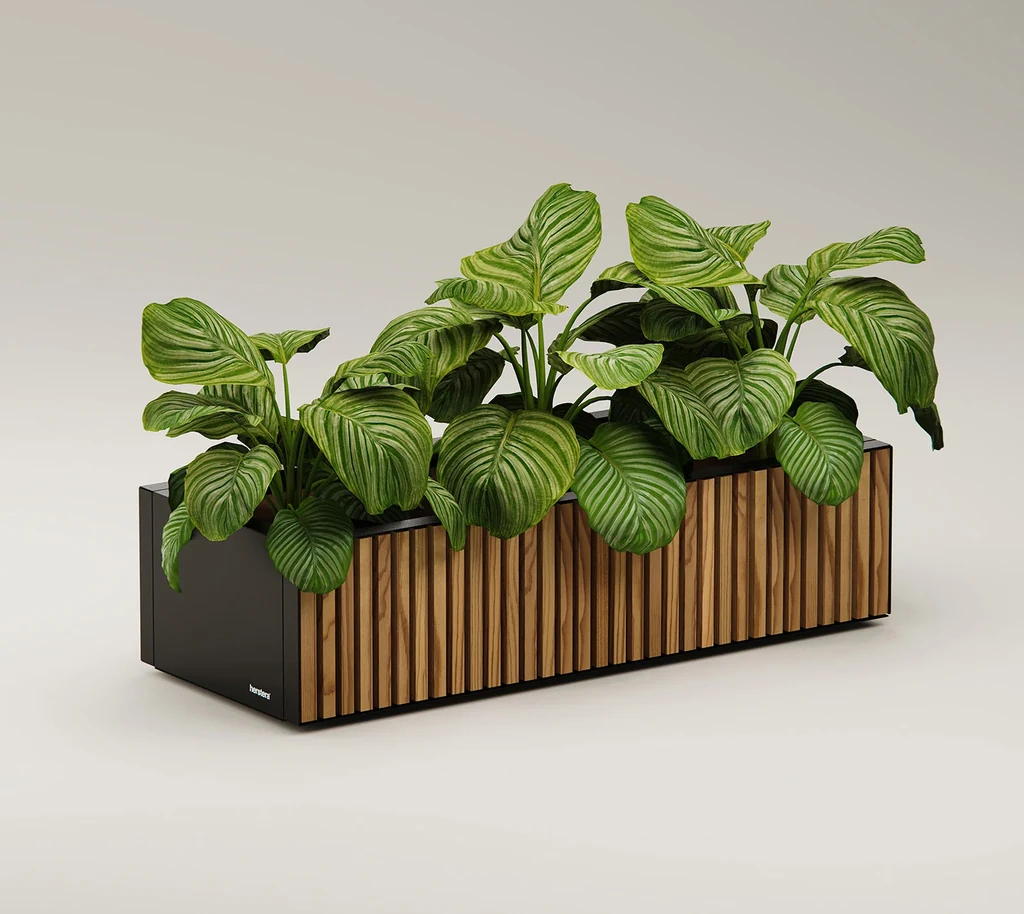 Herstera Garden cvetlični lonec Deco Xic z lesno oblogo 8