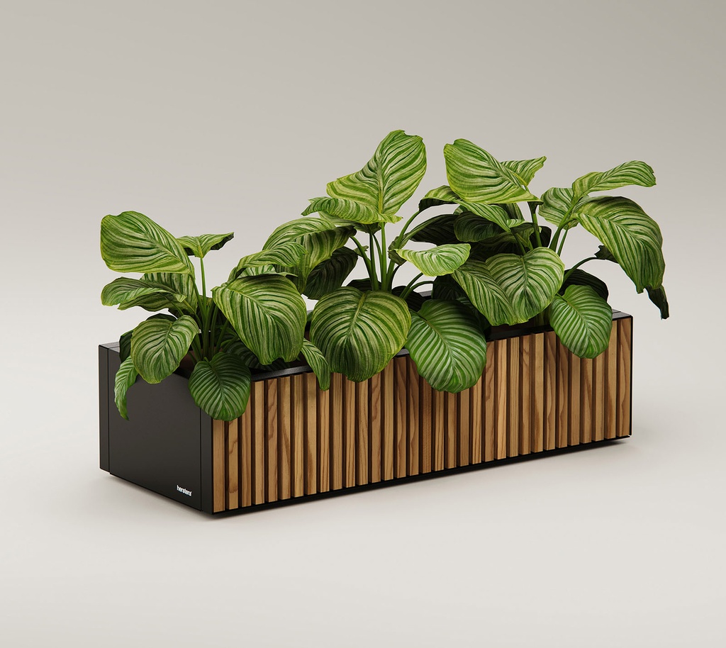 Herstera Garden cvetlični lonec Deco Xic z lesno oblogo 8