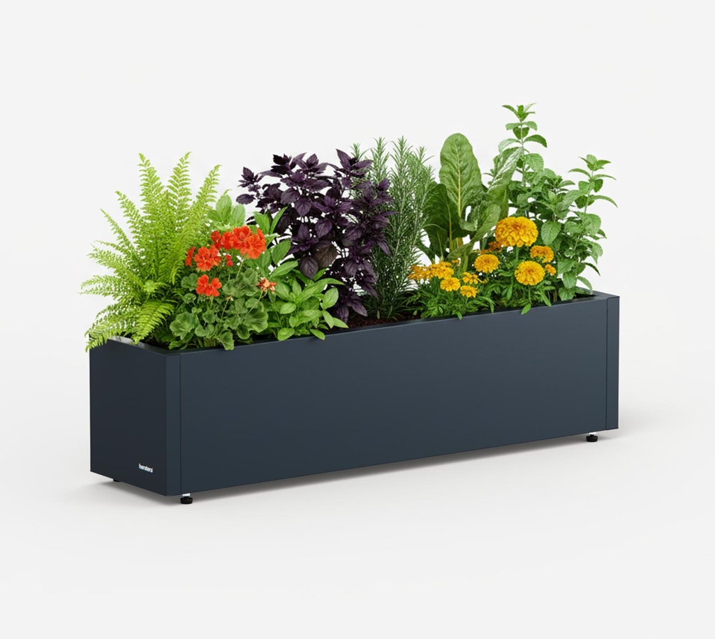 Herstera Garden balkonski kovinski cvetlični lonec Cube 5
