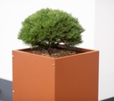 Herstera Garden kovinski sadilni steber Cube High 2