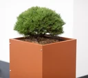 Herstera Garden kovinski sadilni steber Cube High 2