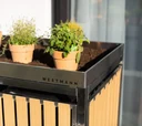 Westmann omara za smetnjake Planta iz nerjavnega jekla 4