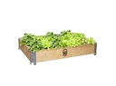 A raised bed, wooden