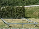 Base zincata